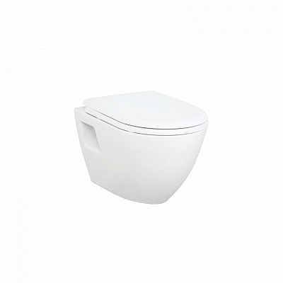 Унитаз подвесной Creavit Terra TP325-11CB00E-0000 Унитаз подвесной Creavit Terra TP325-11CB00E-0000