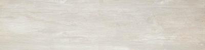 Frost Rt 30x120