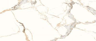 Statuario Gold 120x278