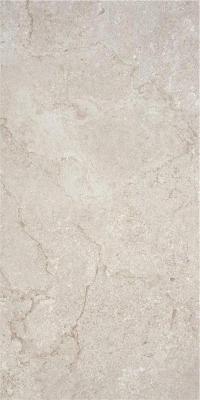 Cruise Greige Mt 60x120