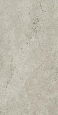 Absolut Silver 60x120 Absolut Silver 60x120