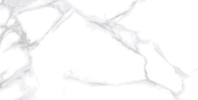 Modern Statuario Polished 60x120