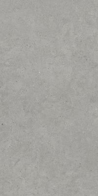 KINSTONE MIST RECT 60X120