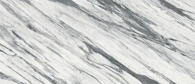 Statuario Fantastico Luc Sq 120x278