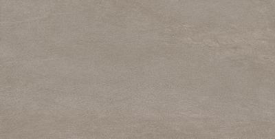 Minimal Taupe Naturale 60x120
