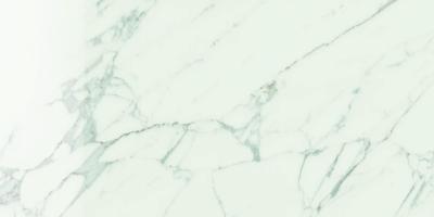 Statuario Venato Rett Lucidato 30x60