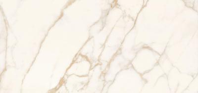 Calacatta Oro Butterfly B 120x260