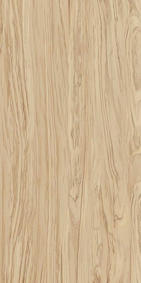 Керамогранит Олива бежевый обрезной 60х119,5