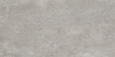 IS36NTT9043L 30x60