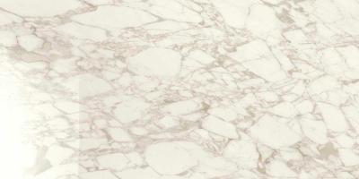 Arabescato Glossy Rettificato 120x240