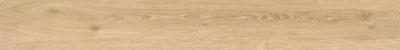 Champagne Ret 20x160