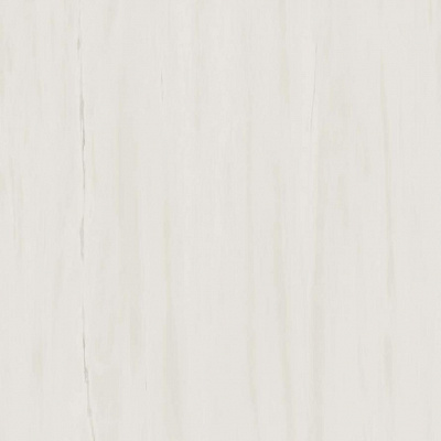 Керамогранит Marvel Stone Bianco Dolomite Lappato 120x120