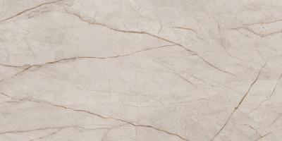 Mgnovenie Gray Beige 60x120