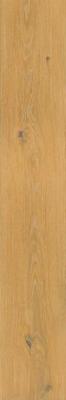 Pure Nat Ret 20x120