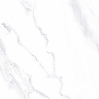 Calacatta Matt 80x80