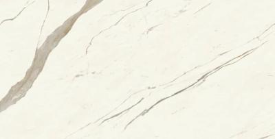 Calacatta Sublime Lappato 120x240