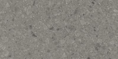 Flodsten Smoke 60x120