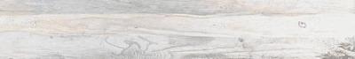 SP 00 19.4x120