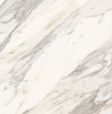 Fabula calacatta r10 rt 60x60