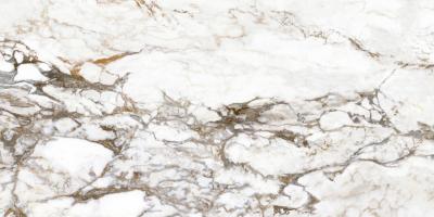 Interno4 Breccia Tortona 60x120