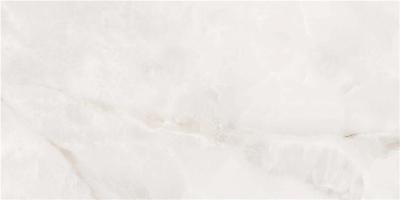 ORION WHITE PULIDO 60X120