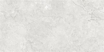 GOBI PEARL MT 60X120 RECT (S-TECH)