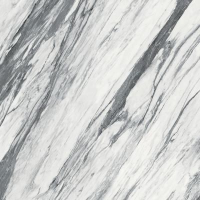 Statuario Fantastico Luc Sq 120x120