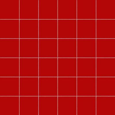 Vermiglio Su Rete 10x10 30x30