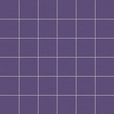 Viola Su Rete 10x10 30x30