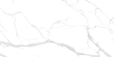 Statuario Ultra White 60x120