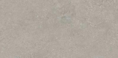 Grey Limestone Lucido