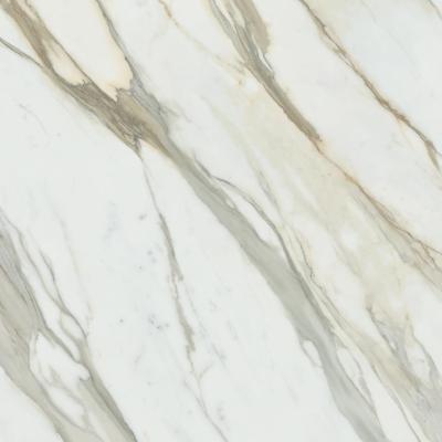Calacatta Gold Luc Sq 80x80