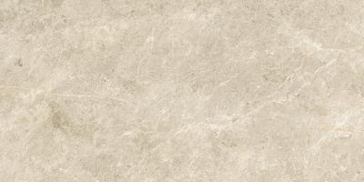 Nyra Sunlight 30x60