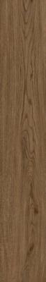 Castano 20x120