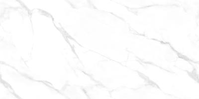 Statuario Endless 60x120