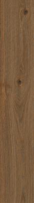  Alma marrone rt 20x120