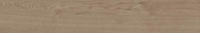 Rusty Beige 19.4x120