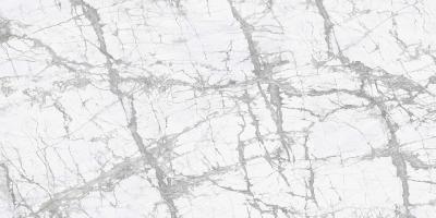 Level Marmi Invisible Lappato Lucido 160x320