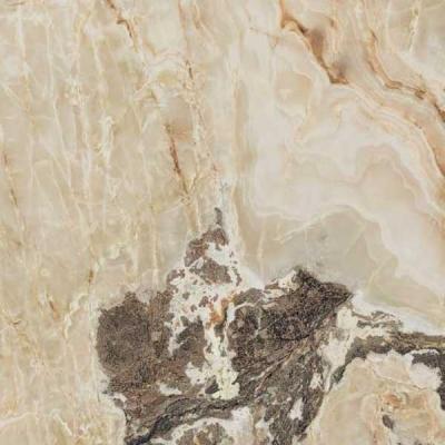 Golden Blend Glossy 60x60
