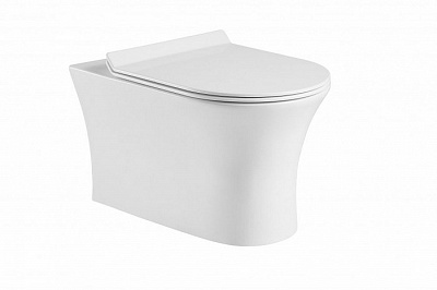 Унитаз подвесной BelBagno Ancona BB1224CHR безободковый Унитаз подвесной BelBagno Ancona BB1224CHR безободковый