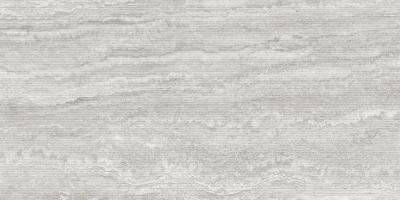 Decor Silver Matt 60x120