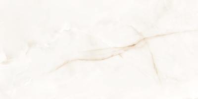 Onix White 60x120