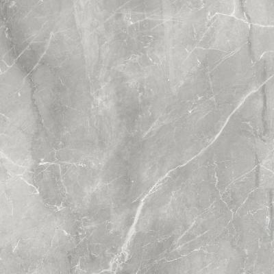 Gray Marble Smooth 120x120
