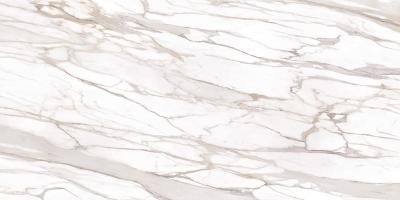 Book Match "A" Calacatta Gold Canova Full Lappato 120x240