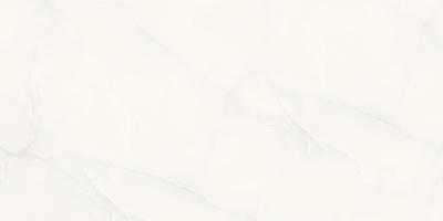 Marble Elvine Grey 60x120