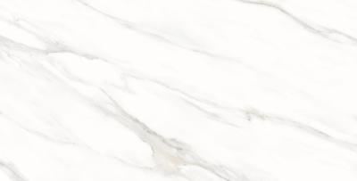 Statuario Shine Matt 60x120