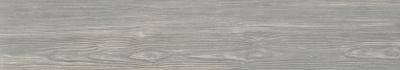 Polo Grigio 20x120 Matt