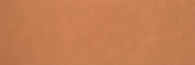 Керамогранит Color Now Curcuma 30.5x91.5