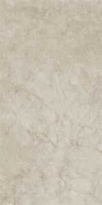Artifact Ash Dot 60x120