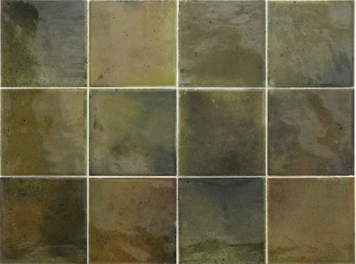 HANOI Wild Olive 10x10 см